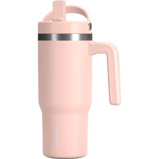 Hydrapeak Kids Voyager 18 oz tumbler med håndtag og flip-up halm låg | Spill bevis og lækagebestandig | Vandflaske med genanvendelig stål | Gave