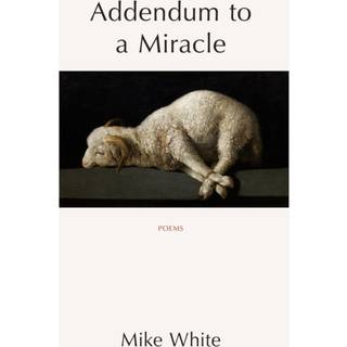Addendum to a Miracle