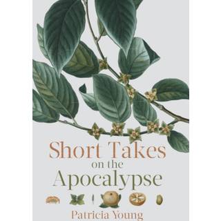 Short Takes on the Apocalypse