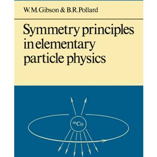 Symmetry Principles Particle Physics