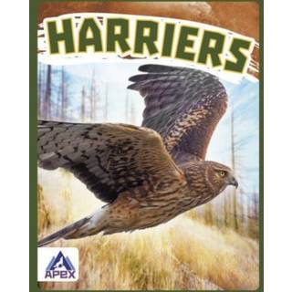 Harriers