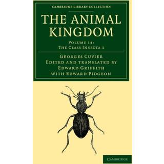 The Animal Kingdom