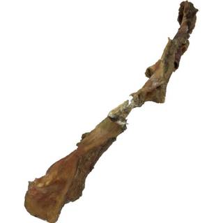 Oksepandelap 65-70 cm.