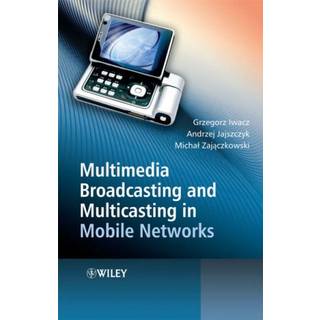 Multimedia Broadcasting and Multicasting in Mobile Networks