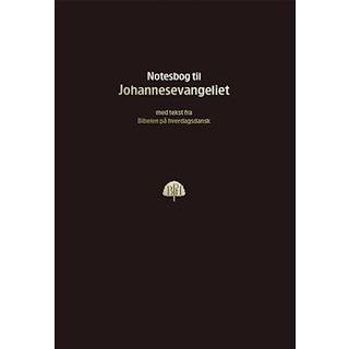 Bibelnotesbog 4, Johannesevangeliet