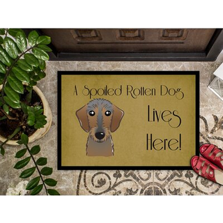 """" Caroline's Treasures BB1481JMAT Wirehaired Dachshund forkælet hundeliv her indendørs eller udendørs mat 24 x 36 """" ""Multicolor"" ""
