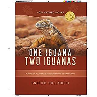 One Iguana, Two Iguanas