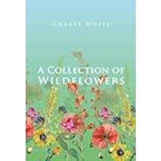 A Collection of Wildflowers