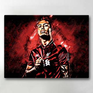 Lærredsbillede / Lærredstryk - Virgil van Dijk - 40x30 cm - Lærr