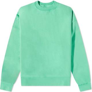 Organic Oversized Crew Spring Green (S)
