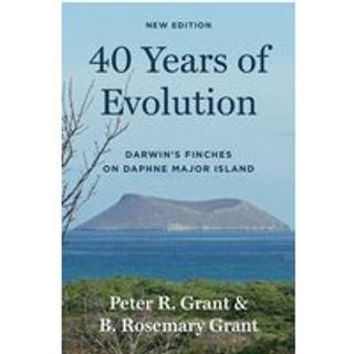 40 Years of Evolution