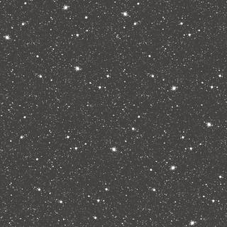 Tiny Tots 2 - G78407