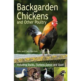 Backgarden Chickens and Other Poultry