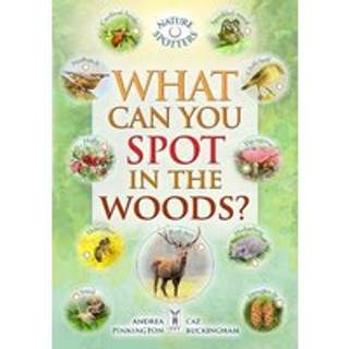 What Can You Spot in the Woods?