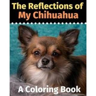 The Reflections of My Chihuahua