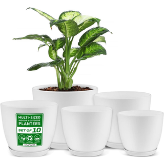 Livemester miljøvenlig plantepotte sæt - 10 -pakke boligindretning blomster indendørs og udendørs plastikpotter med dræningshuller forskellige st