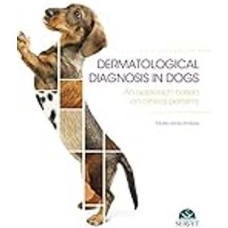 Dermatologic Diagnosis in Dogs. An Approach Based on Clinical Patterns