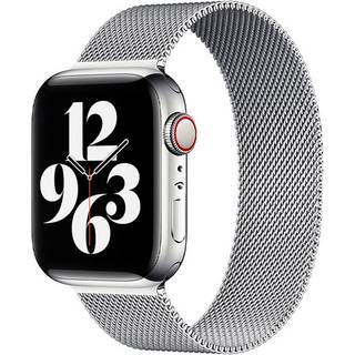 Lippa Apple Watch (42/44/SE/45/46/49mm) Magnetisk Rustfri Stål Rem - Sølv
