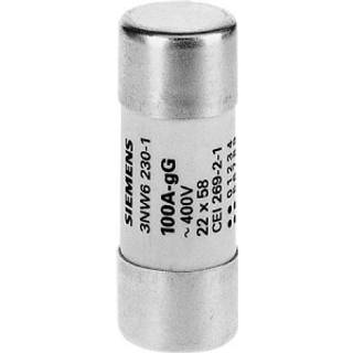 Siemens Cylindersik 22x58MM gg 500v 20A