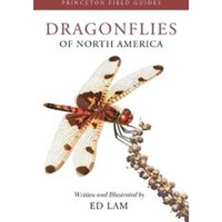 Dragonflies of North America