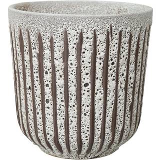 Arti Becky urtepotte