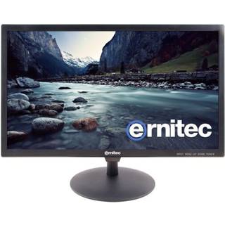 ERNITEC 24" Surveillance monitor for