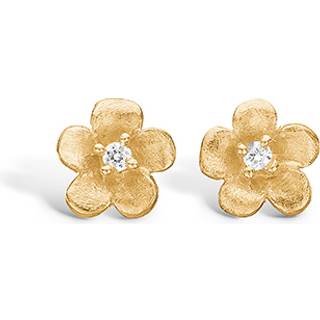 Blossom forgyldte blomster ørestikker med cz