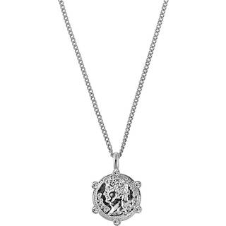 DYRBERG/KERN SIENA HALSKÆDE 440116 (Silver, Crystal, ONESIZE)