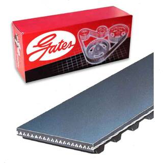 Gates T262 Premium Automotive Timing Belt