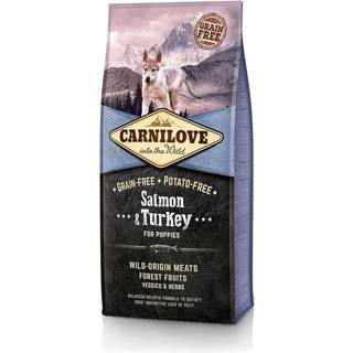 Carnilove Hundehvalp Laks & Kalkun - 12 kg