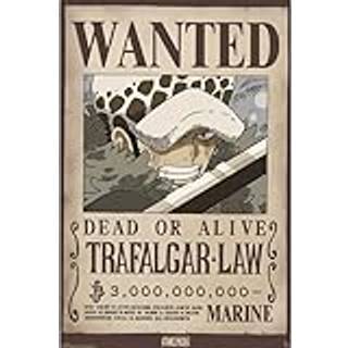 ONE PIECE - Wanted Law Wano - Poster 91x61cm