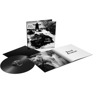 David Gilmour - Luck And Strange