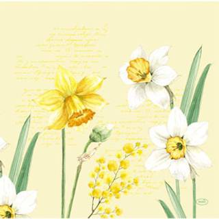 DUNI Dunisoft serviet 40x40 cm Spring Daffodil, 144 stk (200759)