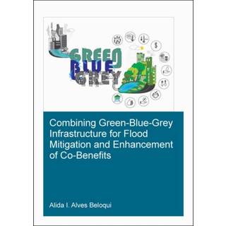 Combining Green-Blue-Grey Infrastructure for Flood Mitigation and Enhancement of Co-Benfits