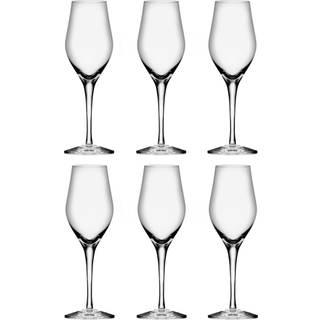 Sense Champagneglas 25,5cl 6-pak