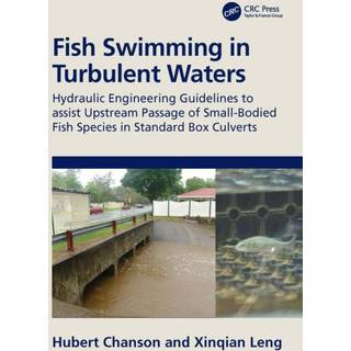 Fish Swimming in Turbulent Waters