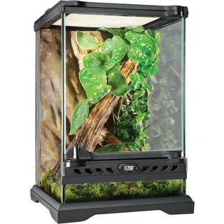ExoTerra terrarium 20 x 20 x 30 cm.