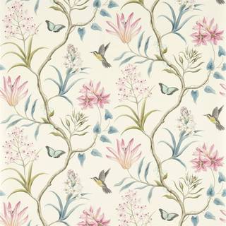 Clementine Dusky Pink - 213386