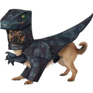 Dog Pupasaurus rex kostume stort
