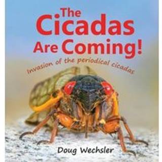 The Cicadas Are Coming!