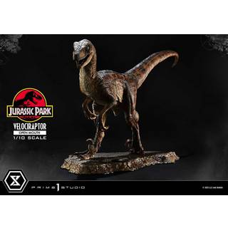 Jurassic Park Prime Collectibles Statue 1/10 Velociraptor Open Mouth 19 cm
