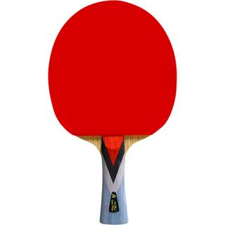Double fish 4a+ bordtennisbat