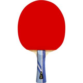 Double fish 3a+ bordtennisbat