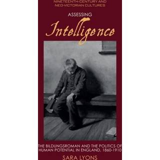 Assessing Intelligence