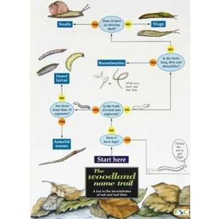 The woodland name trail