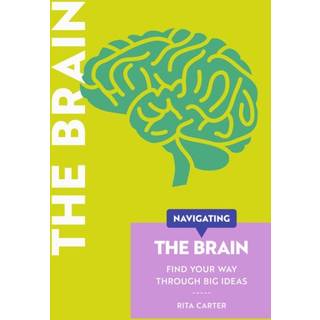 Navigating The Brain