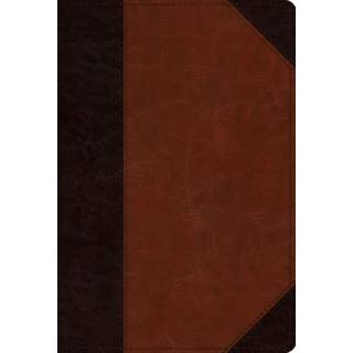 ESV Men's Study Bible