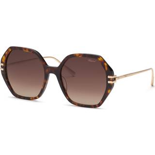 Chopard SCH370M 04BL Solbriller Brun Skygge
