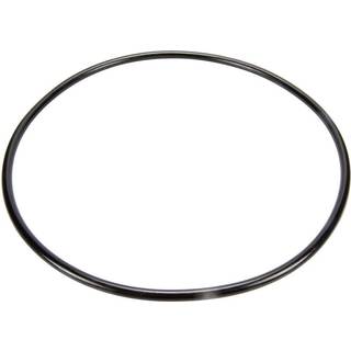 Pentair 87300400 Body O-ring