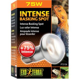 EXO TERRA Intense Basking Spot 75W
